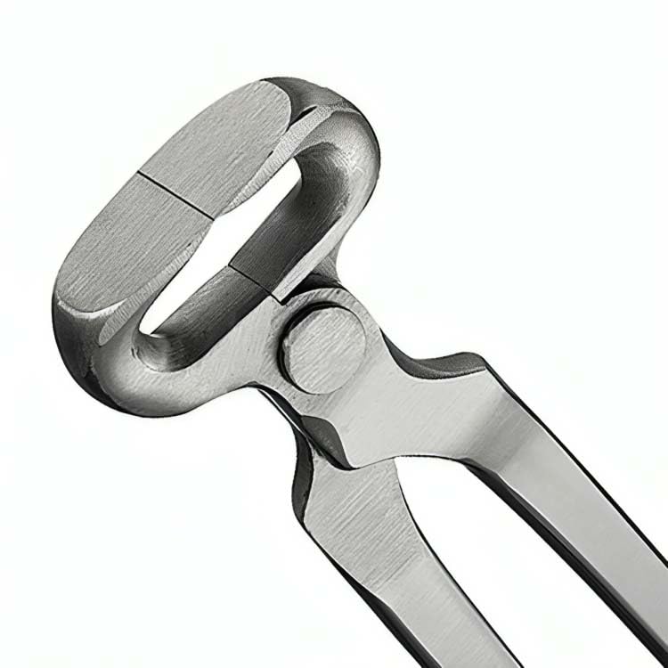 G.N SURGICAL LTD Professional Horse Hoof Nippers, 14 Inches, Stainless Steel, Heavy Duty Farrier Tool with Sharp Cutting Edges G.N SURGICAL LTD  GN SURGICAL LTD