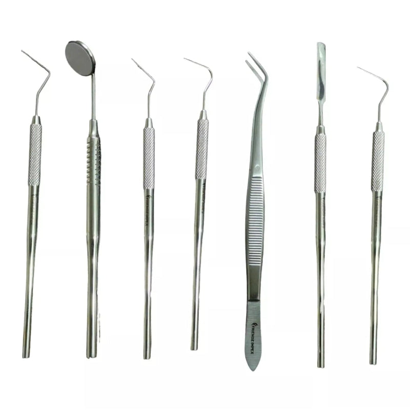 Dental Oral scaler pick Teeth Set Kit Mirror and handle Non Magnet Den