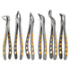 6 Pcs Apical Retention Atraumatic Extracting Dental Forceps Set German Premolars Friendz Impex Business, Office & Industrial: Healthcare, Lab & Dental:Handpieces & Instruments:Dental Instruments GN SURGICAL LTD