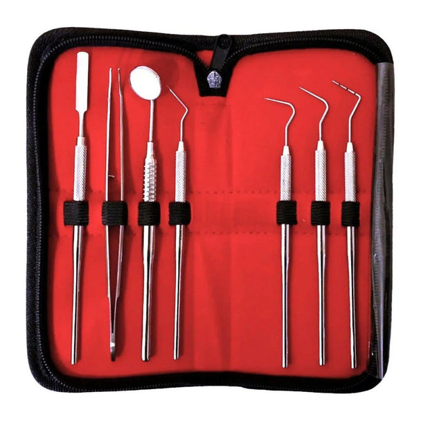 Stainless steel dental instrument set in red case, Class I reusable tools by GN Surgical LTD