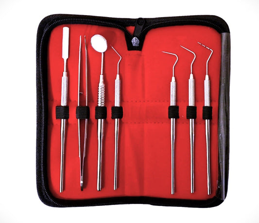 Dental Oral scaler pick Teeth Set Kit Mirror and handle Non Magnet Dental Kit UK