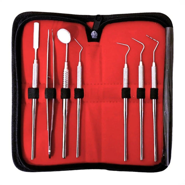 Stainless steel dental instrument set in red case, reusable Class I GN Surgical LTD kit